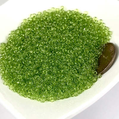Rocailles 10/0 Light Green Preciosa Ornela Czech Glass Seed Beads 30grams CS169