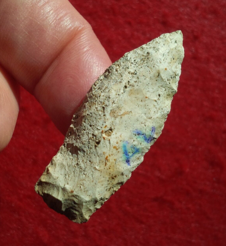 1-3/4" PALEO COLDWATER ALABAMA ARROWHEAD PROJECTILE POINT AUTHENTIC ARROWHEAD - Picture 10 of 24