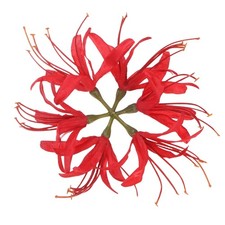 Artificial Flower Heads 7 Inch, Red 1 PCS - Spider Lily Silk Flowers