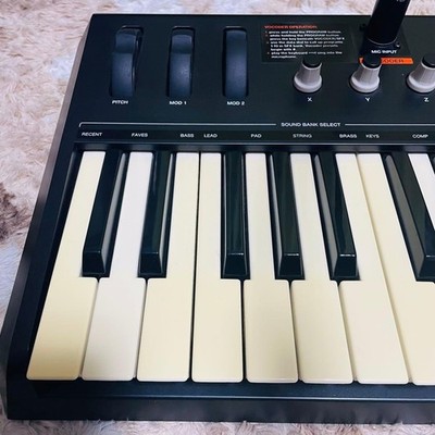 AKAI MINIAK 37-Key Virtual Analog Synthesizer Vocoder | eBay