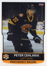 2019/20 Providence Bruins - PETER CEHLARIK