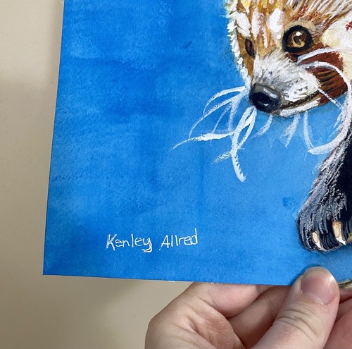 Original Art Red Panda Watercolor Painting Size 8”x10” Artwork - Picture 2 of 4