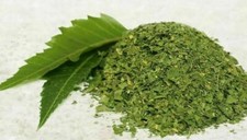 Neem Dried Leaf Powder 100 Pure Natural A Grade Premium Quality Shipment Free