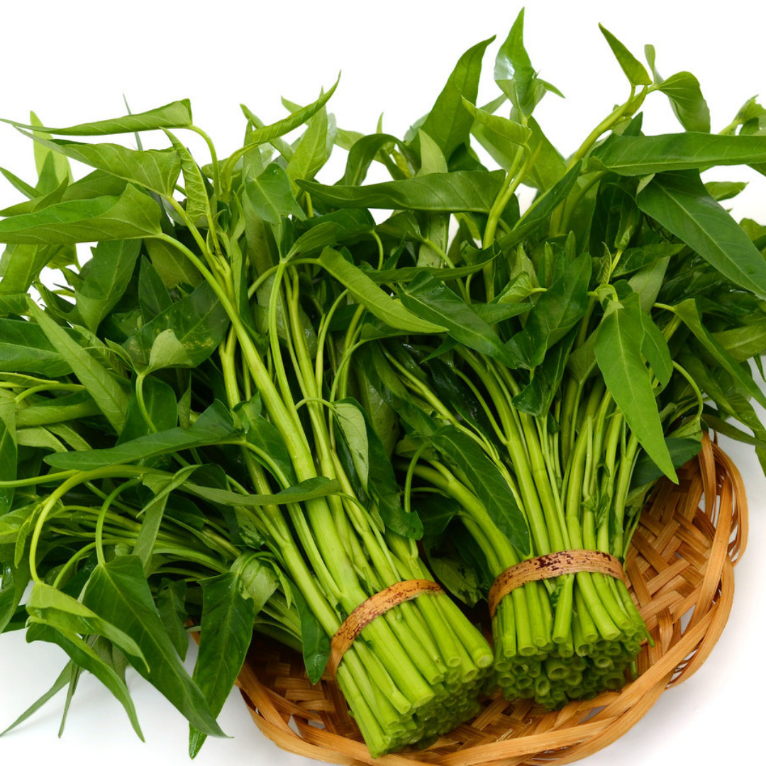 Fresh Water Spinach Seeds | Kangkong | Heirloom Non-GMO | Asian Vegetable Seeds