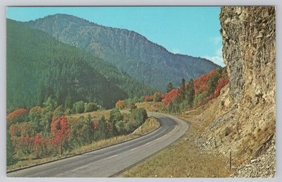 WY Jackson Alpine Snake River Canyon Postcard