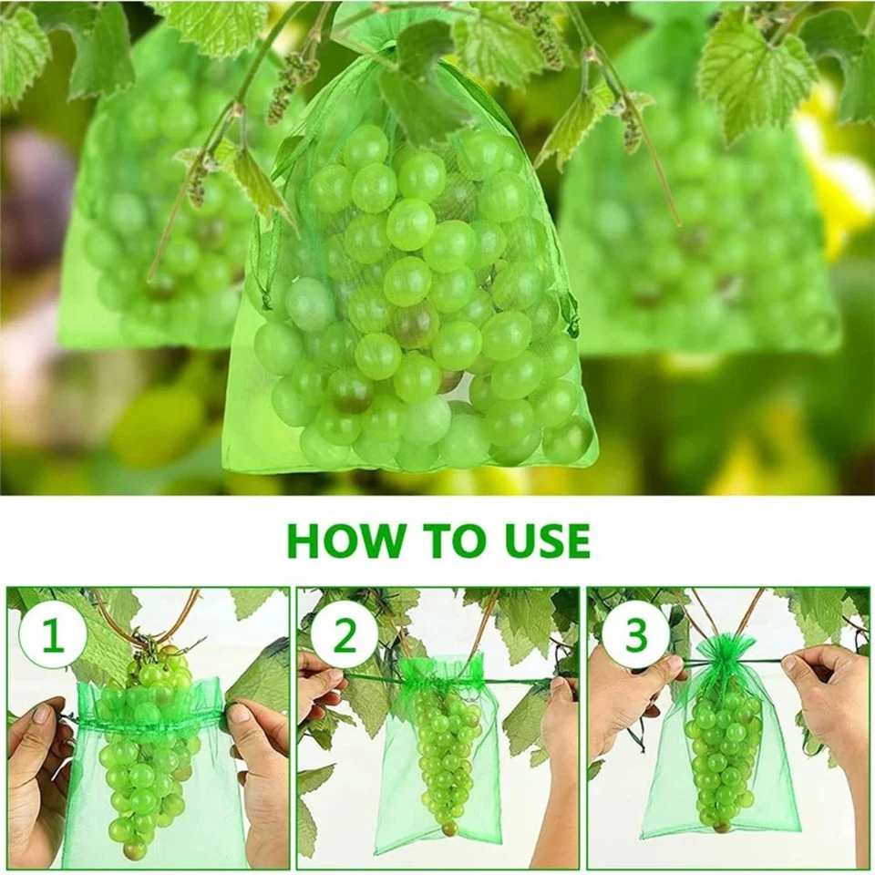 Transparent Green Organza Fruit Protection Bags Size 4x6 Inches Set of 100 - Image 3 of 4