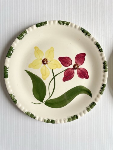 "2 platos florales esmaltados a mano Blue Ridge Southern Potteries 9,25""" - Imagen 2 de 16