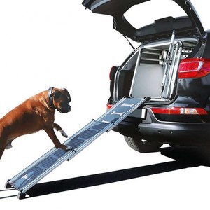 dog steps pets at home