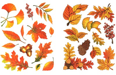 Fensterbild Set Herbst Blätter Laub zum Auswählen Fenstersticker