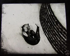 VINTAGE Magic lantern Slide WHIPSNADE ZOO BABY BEAR 1930'S DUNSTABLE 