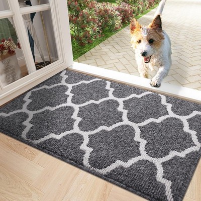 OLANLY Indoor Door Mat, 32x20, Non-Slip Absorbent Resist Dirt 32 x