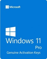 Windows 11 Pro  Lifetime License  In Stock...