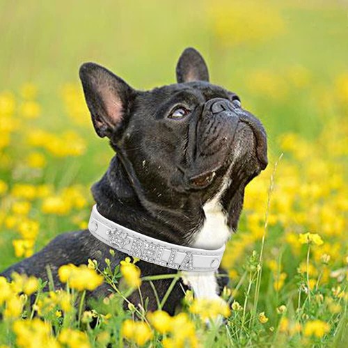 Personalized Dog Cat Collar DIY Name Letter Small Pet Puppy Bling Leather Collar - Picture 20 of 48