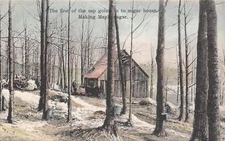 White River Junction Vermont~Making Maple Sugar Series #9~1908 Handcolored PC