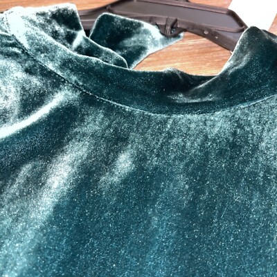 NWT Eileen Fisher Pine Velvet Mock Neck K/L Dress Size P/P MSRP $328 | eBay
