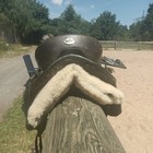 Bild 21 von 21