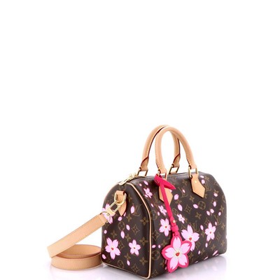 Louis Vuitton x Takashi Murakami Speedy Handbag Limited Edition