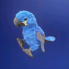~HYACINTH MACAW 10