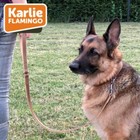 Bild 7 von 9