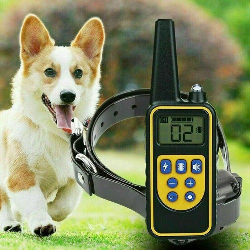 COLLARE 800M IMPERMEABILE TELECOMANDO CANI SCOSSA ELETTRICO ADDESTRAMENTO LCD - Foto 2 di 10