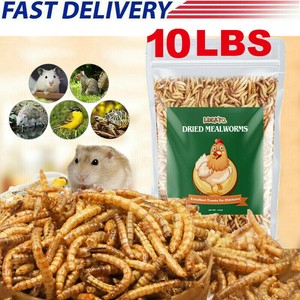 hamster food with mealworms