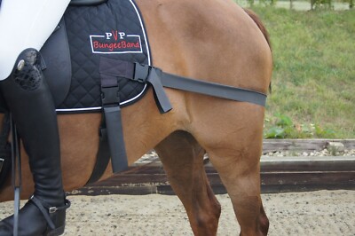 BungeeBand Schabracke, Equine Band, Core Trainer, Equi Trainer, Equine Core Pad