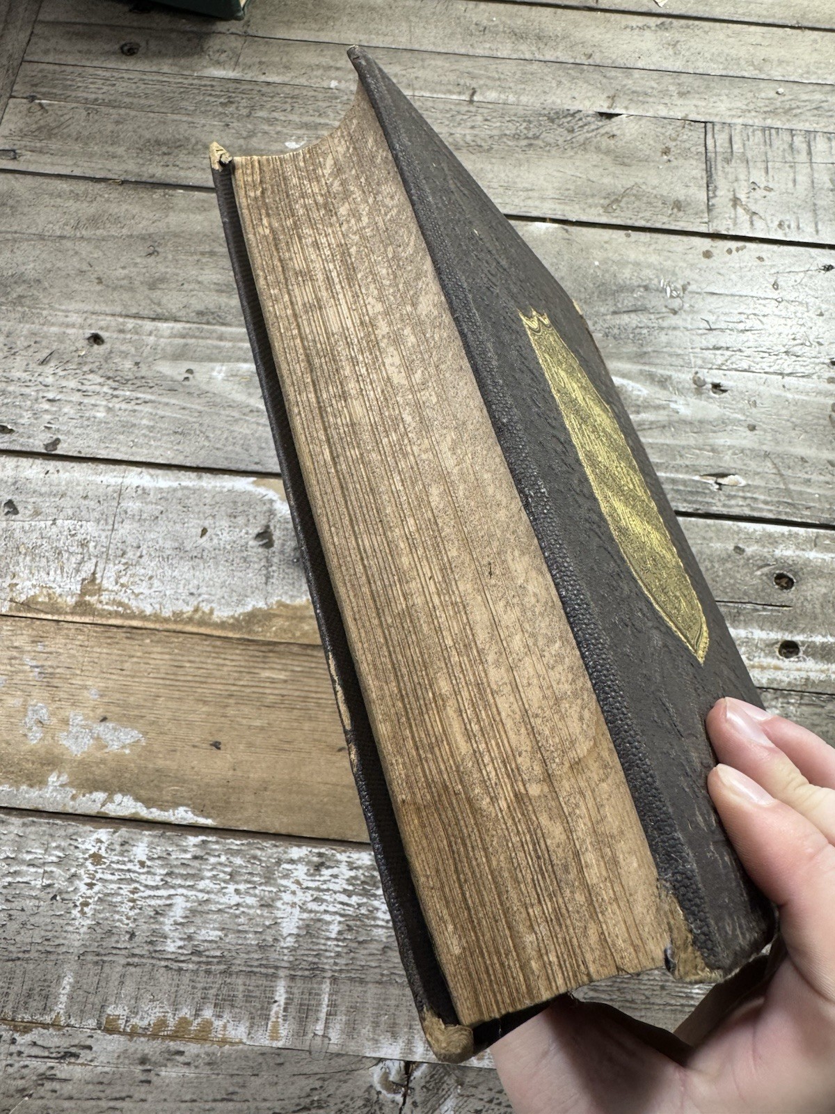 1866 Antique Classic Book “The Works of John Bunyan” Illustrated, 2-vol's-in-1