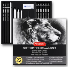 Drawing Sketching Pencil Set, 22 Piece Pro Art Pencil Kit - Graphite Pencils (12