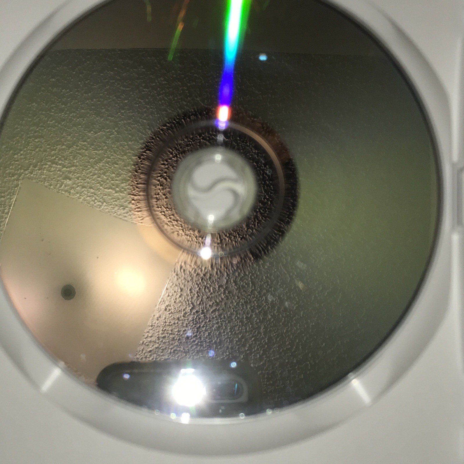 Picture 6 of 11