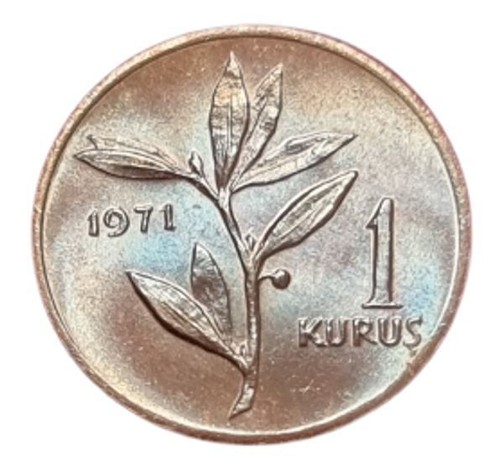 Turkish Coin Turkey 1 Kurus | Istanbul | Moon Star | 1963 - 1974 - Picture 4 of 4