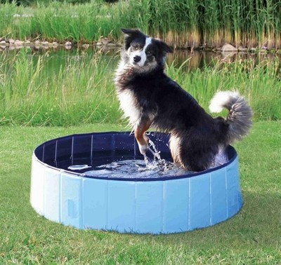 TRIXIE Hundepool 70 × 12 cm