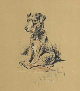 Lakeland Terrier - CUSTOM MATTED - Vintage Dog Art Print - 1937 L. Dawson