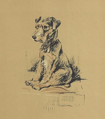 Lakeland Terrier - CUSTOM MATTED - Vintage Dog Art Print - 1937 L. Dawson