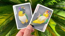 Bicycle Parrot Playing Cards Deck Brand New