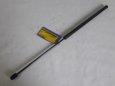 Renault Megane Gasdämpfer links hinten 2009 904510002R