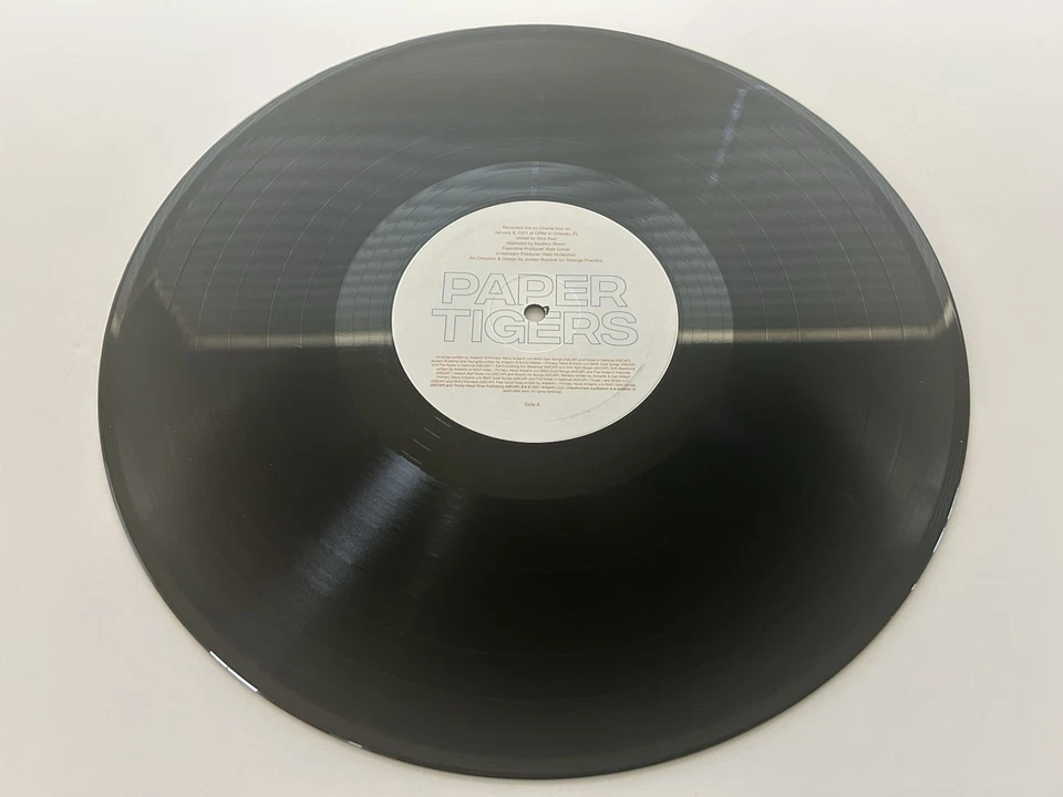 ANBERLIN Paper Tigers (new surrender lockdown livestream) Vinyl LP NM - Imagem 3 de 4