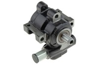 NTY Hydraulikpumpe FüR Servolenkung Dodge Ram 1500 3.7/4.7/5.7/5.9 02-07