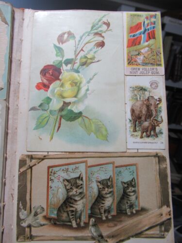 Colección de 100+ tarjetas coleccionables antiguas etc. en libro, Arbuckle Bros. / Arm & Hammer - Imagen 18 de 24