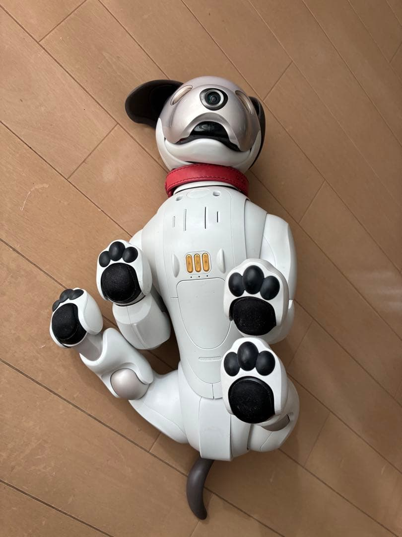 Sony AIBO ERS-1000 Entertainment Robot Dog accessories Japan Used