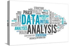 Stretched Canvas Print Word Cloud Data Analysis by mindscanner, 24" x 16"