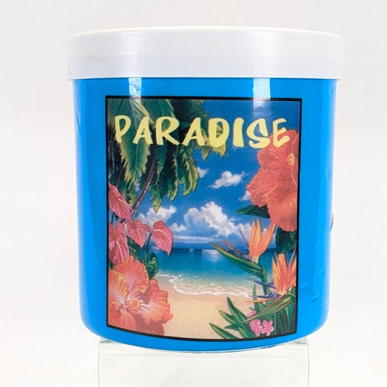 The Fridge Freezable Drink Cooler Can Koozie Lifoam USA Paradise Design Vintage
Opens in a new windo