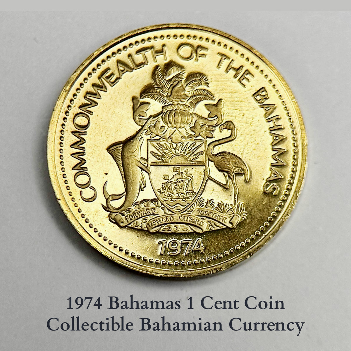 1974 Bahamas 1 Cent Coin-Proof – Starfish Design | Collectible