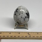 Foto 11 di 12