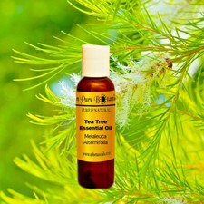 Tea Tree Essential Oil  100 Pure  Natural  TOP SELLING   1oz - 16oz 