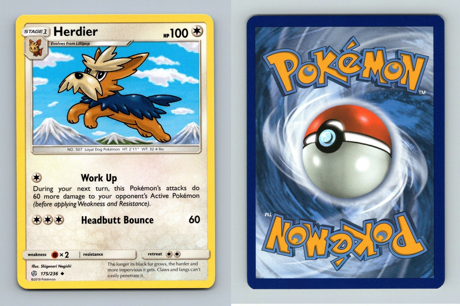 Herdier #175/236 Sun & Moon Cosmic Eclipse Uncommon Pokemon 2019 TCG Card