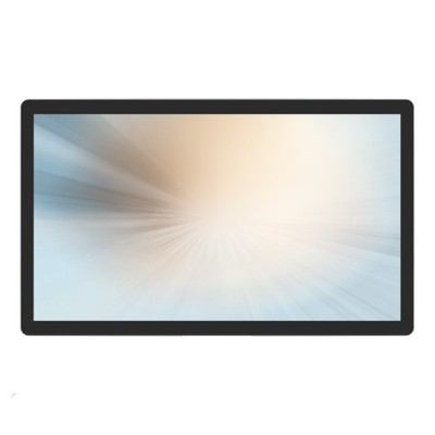 MicroTouch IC-215P-AA2 Android All-in-One Touch Screen Computer - NO STAND