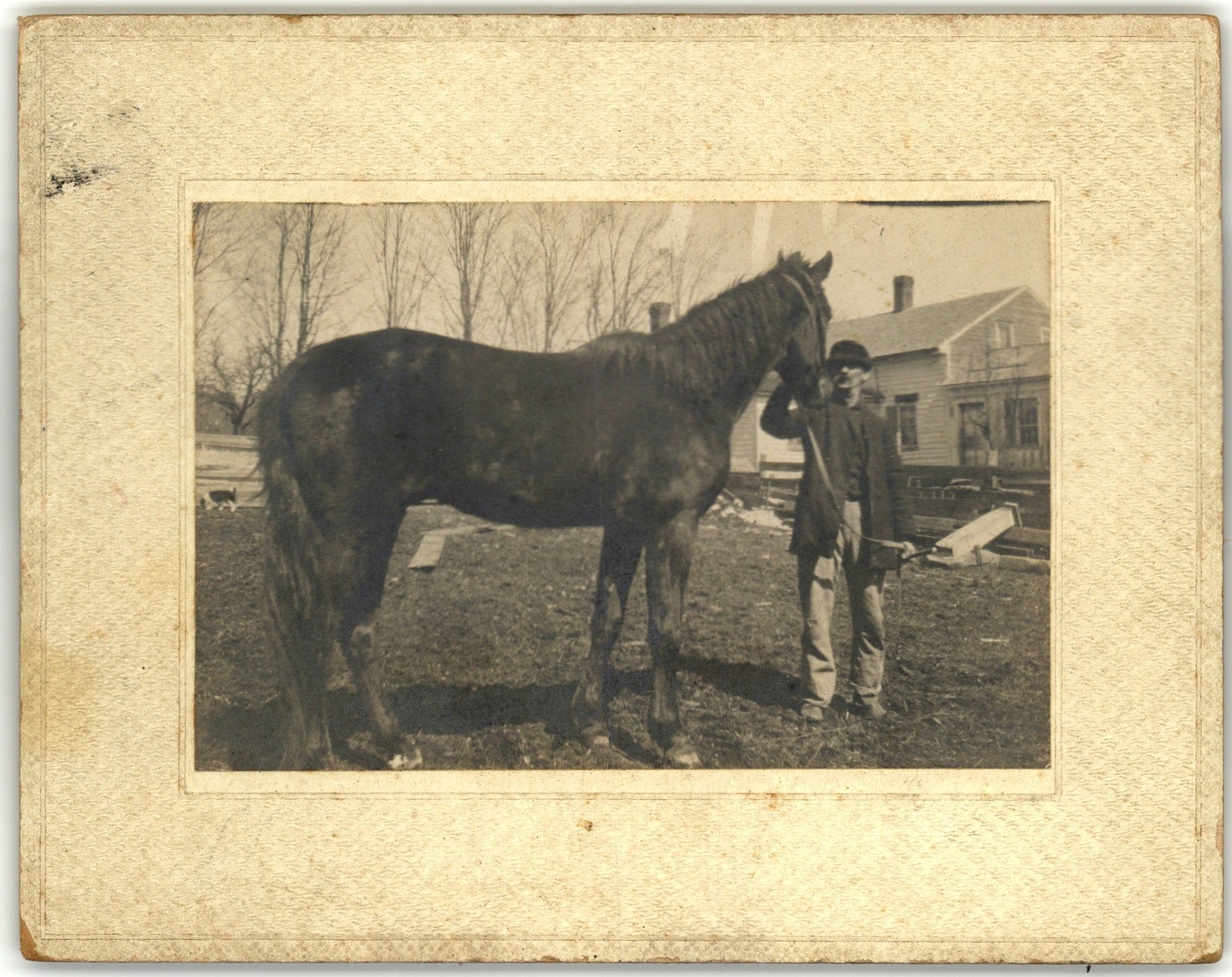 Antique Mounted Board Photo Circa 1900 Man With Large Dark Horse Farm Unmarked