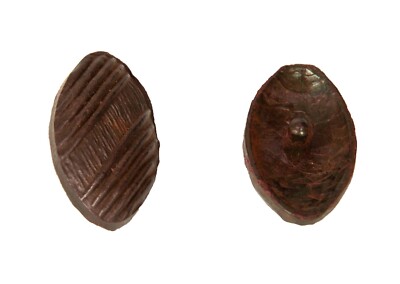 SG Set 4 Knöpfe oval Kunststoff mit Nähschaft mm.19 x 33 x 11 mm Arktis
