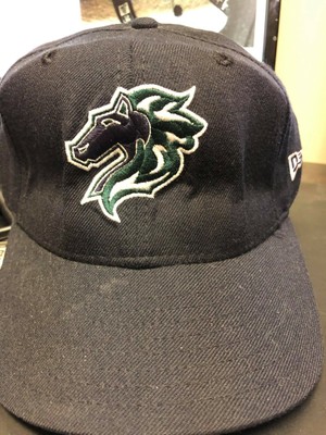 Minor League Baseball Charlotte Knights 