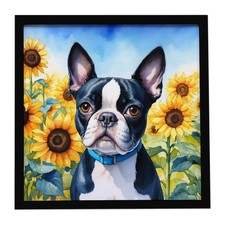 Caroline's Treasures Boston Terrier in Sunflowers Framed Metal Print